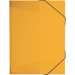 Kartongmapp kummiga A4 ''RVS'' Ananass/10