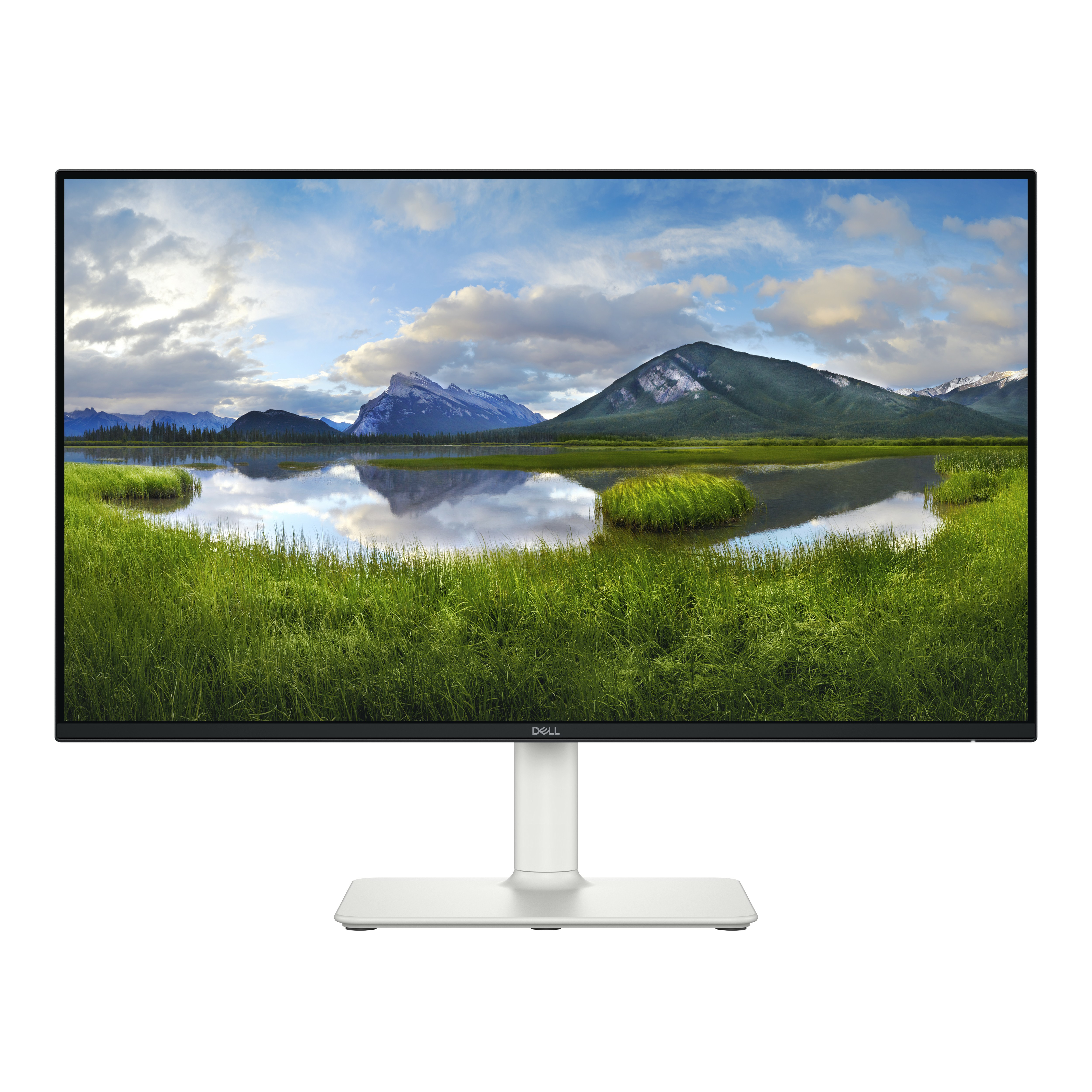 Dell 24 Plus Adjustable Stand Monitor - S2425HS, 60.45 cm (23.8”)